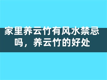 家里养云竹有风水禁忌吗，养云竹的好处