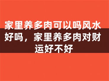 家里养多肉可以吗风水好吗，家里养多肉对财运好不好
