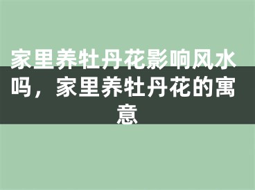 家里养牡丹花影响风水吗,家里养牡丹花的寓意