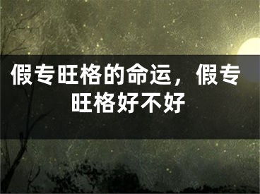 假专旺格的命运，假专旺格好不好