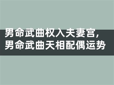 男命武曲权入夫妻宫,男命武曲天相配偶运势