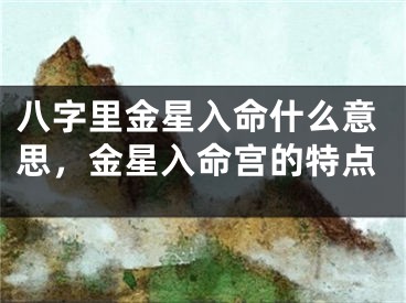 八字里金星入命什么意思，金星入命宫的特点