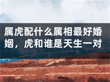 属虎配什么属相最好婚姻,虎和谁是天生一对