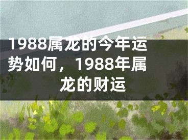 1988属龙的今年运势如何，1988年属龙的财运