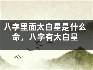 八字里面太白星是什么命，八字有太白星