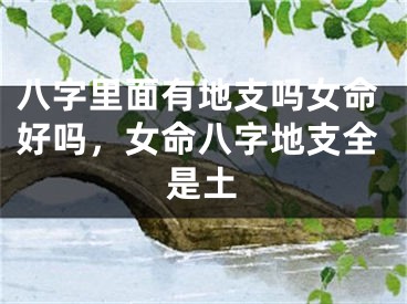 八字里面有地支吗女命好吗，女命八字地支全是土
