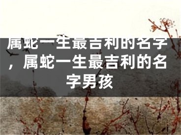 属蛇一生最吉利的名字，属蛇一生最吉利的名字男孩