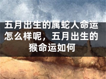 五月出生的属蛇人命运怎么样呢，五月出生的猴命运如何