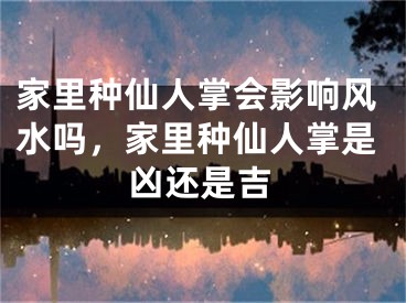 家里种仙人掌会影响风水吗，家里种仙人掌是凶还是吉