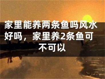 家里能养两条鱼吗风水好吗，家里养2条鱼可不可以