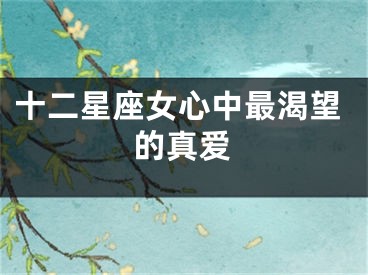 十二星座女心中最渴望的真爱