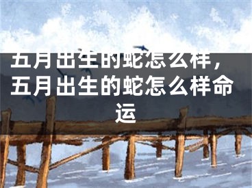 五月出生的蛇怎么样，五月出生的蛇怎么样命运