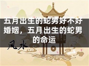 五月出生的蛇男好不好婚姻，五月出生的蛇男的命运