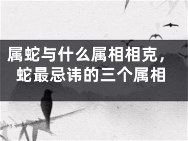 属蛇与什么属相相克，蛇最忌讳的三个属相