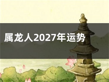 属龙人2027年运势