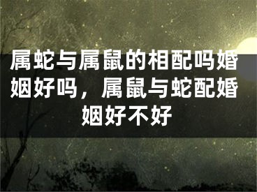 属蛇与属鼠的相配吗婚姻好吗，属鼠与蛇配婚姻好不好
