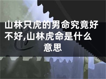 山林只虎的男命究竟好不好,山林虎命是什么意思