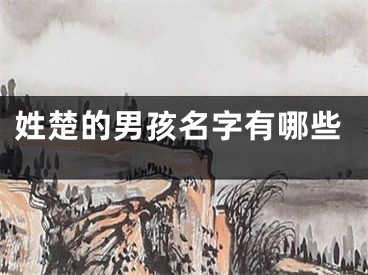 姓楚的男孩名字有哪些