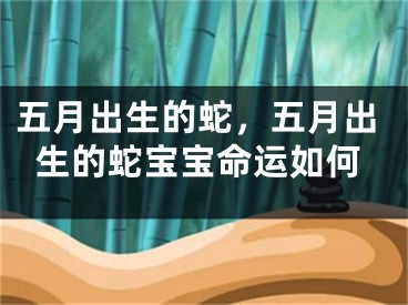五月出生的蛇,五月出生的蛇宝宝命运如何