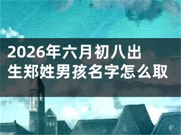2026年六月初八出生郑姓男孩名字怎么取