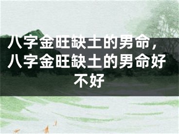 八字金旺缺土的男命，八字金旺缺土的男命好不好