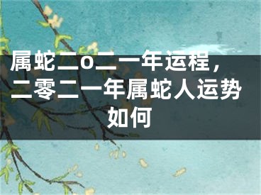 属蛇二o二一年运程，二零二一年属蛇人运势如何