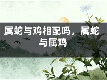 属蛇与鸡相配吗，属蛇与属鸡