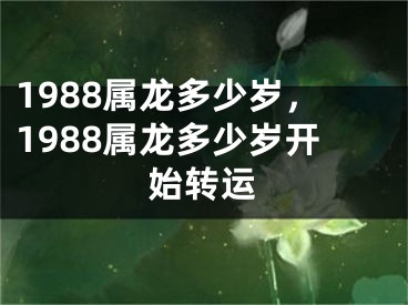 1988属龙多少岁,1988属龙多少岁开始转运