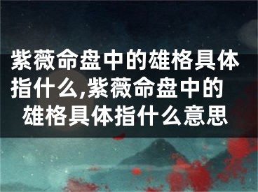 紫薇命盘中的雄格具体指什么,紫薇命盘中的雄格具体指什么意思