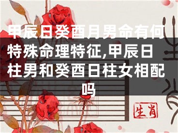 甲辰日癸酉月男命有何特殊命理特征,甲辰日柱男和癸酉日柱女相配吗