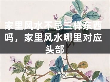 家里风水不忌三样东西吗，家里风水哪里对应头部