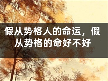假从势格人的命运，假从势格的命好不好