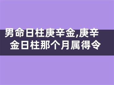 男命日柱庚辛金,庚辛金日柱那个月属得令