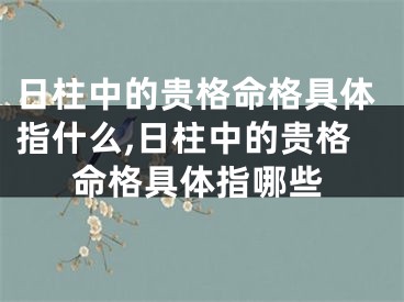 日柱中的贵格命格具体指什么,日柱中的贵格命格具体指哪些
