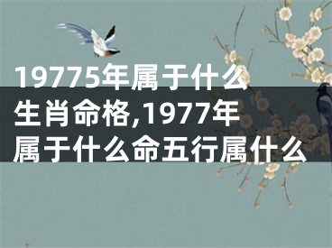 19775年属于什么生肖命格,1977年属于什么命五行属什么