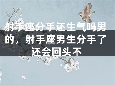 射手座分手还生气吗男的，射手座男生分手了还会回头不