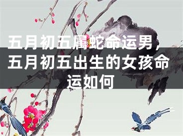 五月初五属蛇命运男，五月初五出生的女孩命运如何