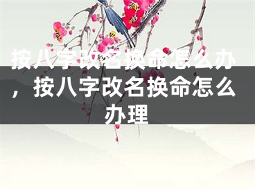 按八字改名换命怎么办，按八字改名换命怎么办理
