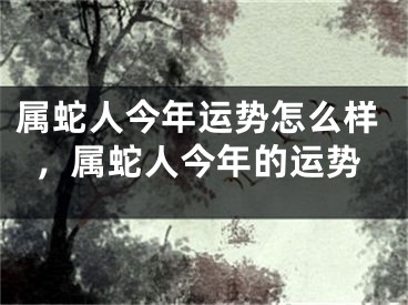 属蛇人今年运势怎么样，属蛇人今年的运势