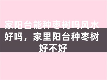 家阳台能种枣树吗风水好吗,家里阳台种枣树好不好