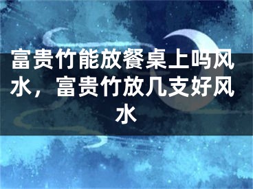 富贵竹能放餐桌上吗风水，富贵竹放几支好风水