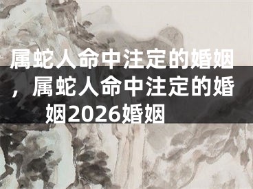 属蛇人命中注定的婚姻，属蛇人命中注定的婚姻2026婚姻