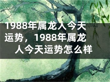 1988年属龙人今天运势，1988年属龙人今天运势怎么样