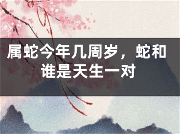 属蛇今年几周岁,蛇和谁是天生一对