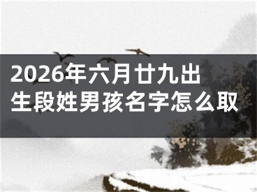 2026年六月廿九出生段姓男孩名字怎么取