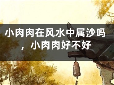 小肉肉在风水中属沙吗，小肉肉好不好