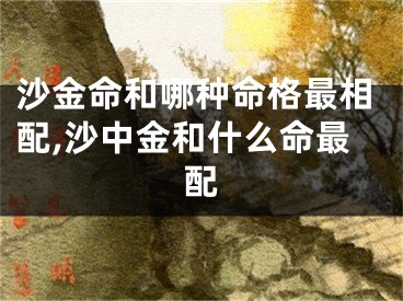 沙金命和哪种命格最相配,沙中金和什么命最配