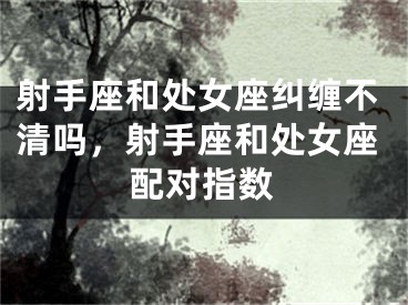 射手座和处女座纠缠不清吗，射手座和处女座配对指数