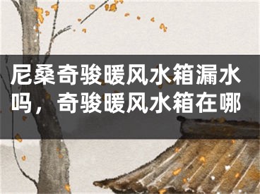 尼桑奇骏暖风水箱漏水吗，奇骏暖风水箱在哪