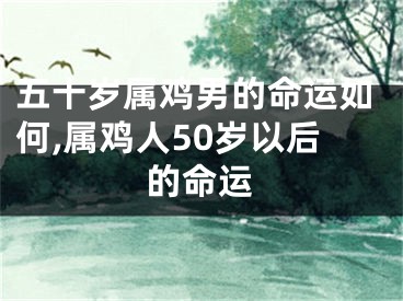 五十岁属鸡男的命运如何,属鸡人50岁以后的命运